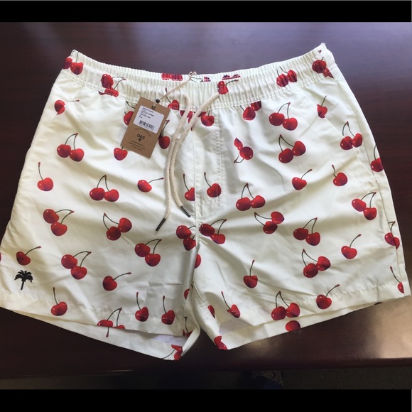 OAS Other - OAS BRAND MENS SWIMSUIT